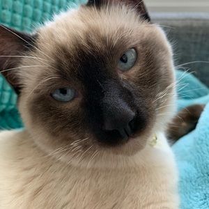 Meet your Posher, Mitch